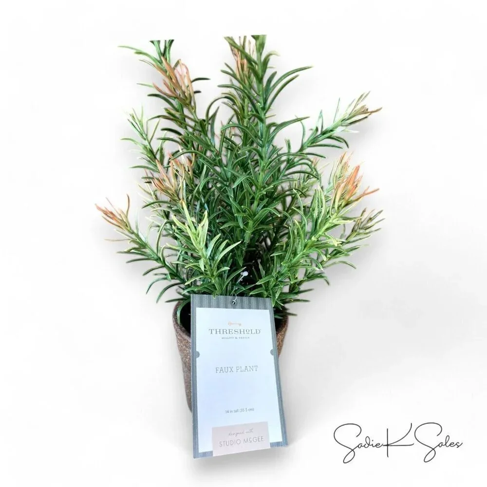 Small Pine Leaf Potted Arrangement - Threshold Studio McGee, Target 2022
